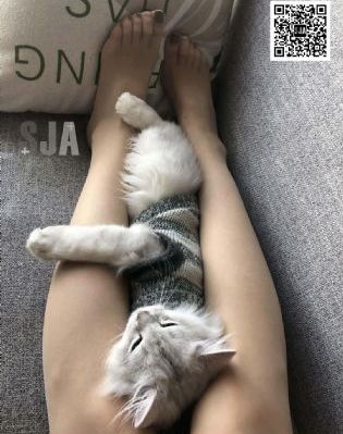 韩国电影妈妈的朋友8