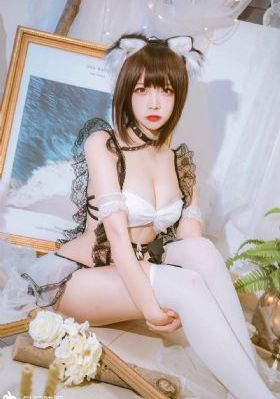 免费电视网