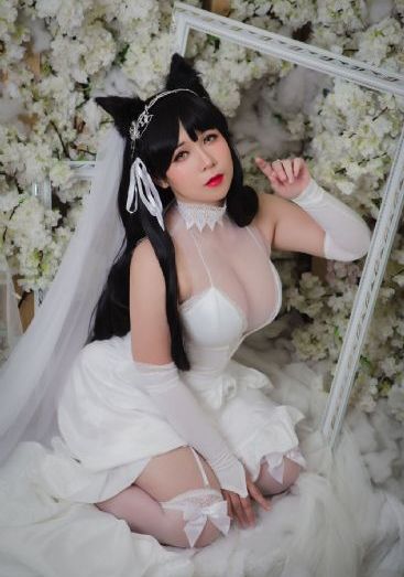 xl上司樱花