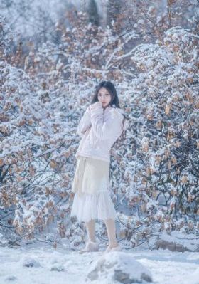 七龙珠在线观看
